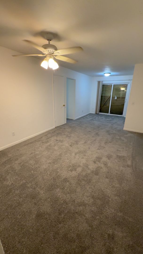 Cozy home with large backyard!