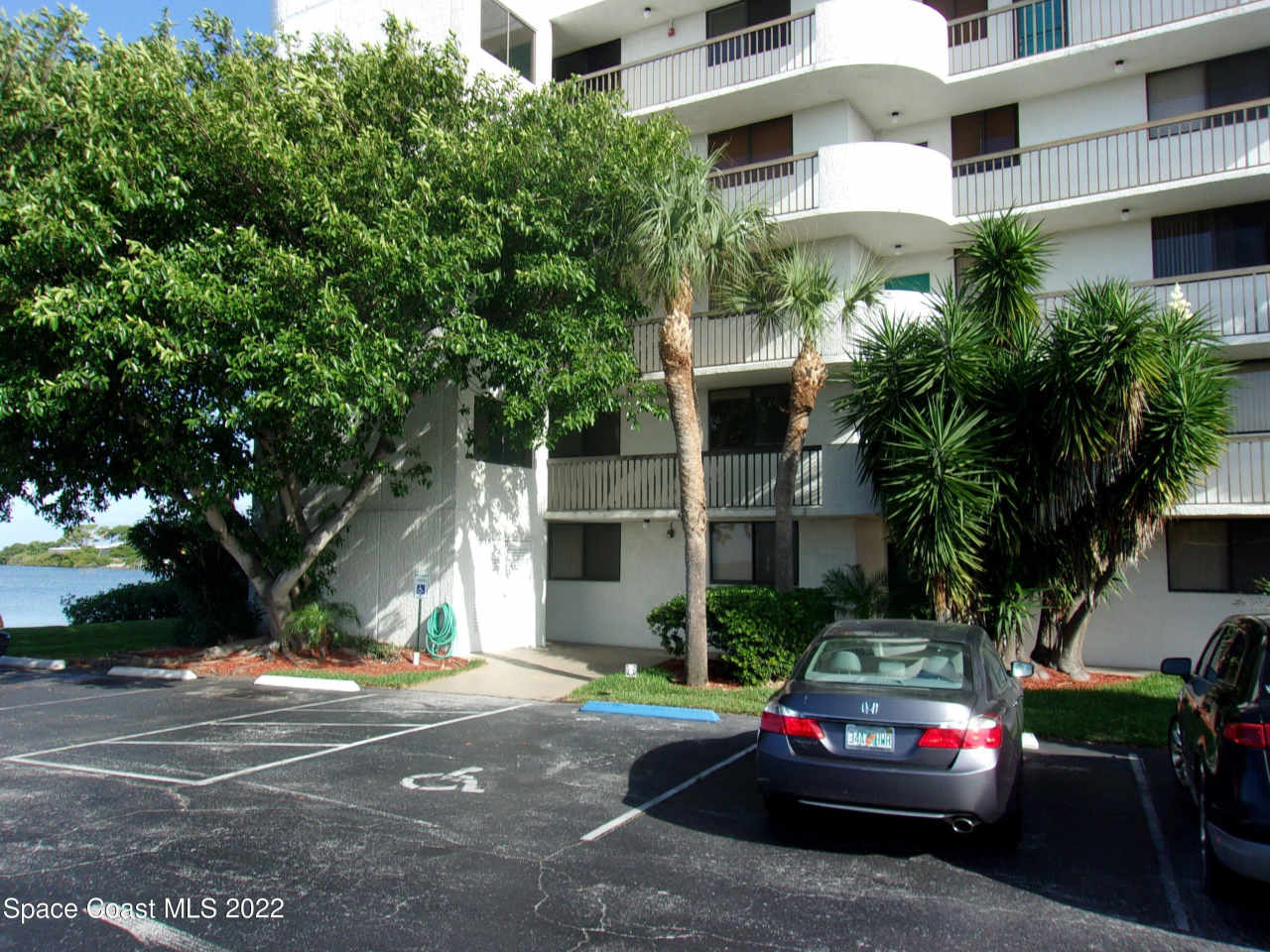 300 Columbia Drive unit: 3202