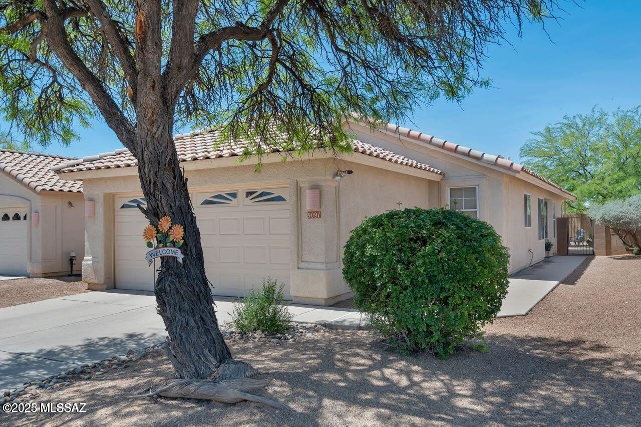 9091 N Ironwood Bluffs Lane