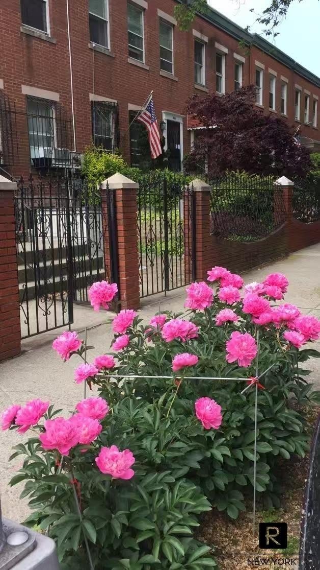 66 Sharon Street unit: 1