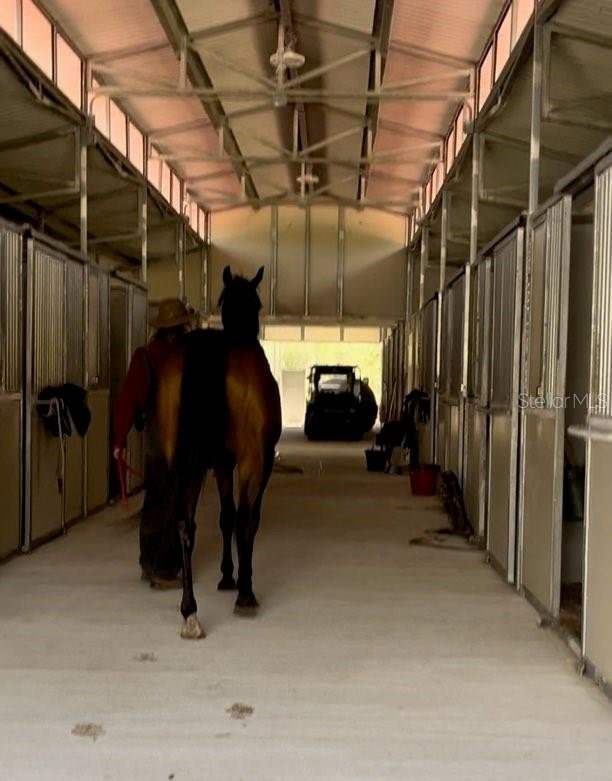 14192 ERMINE OWL ROAD