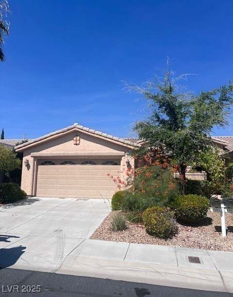 5063 Vincitor Street