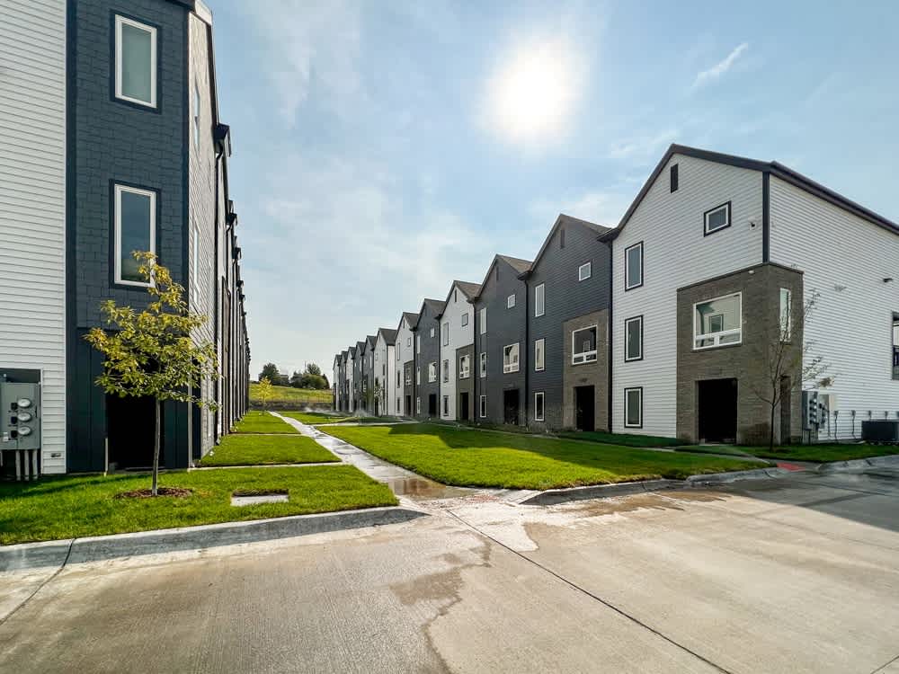 Juniper Rows at Deer Creek