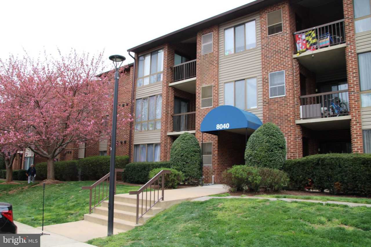 8040 NEEDWOOD unit: 202