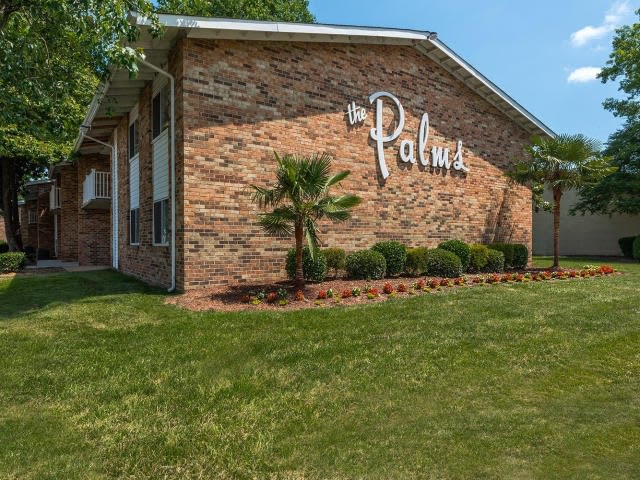 Palms