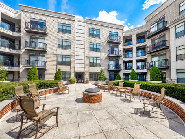 Cosmopolitan on the Canal