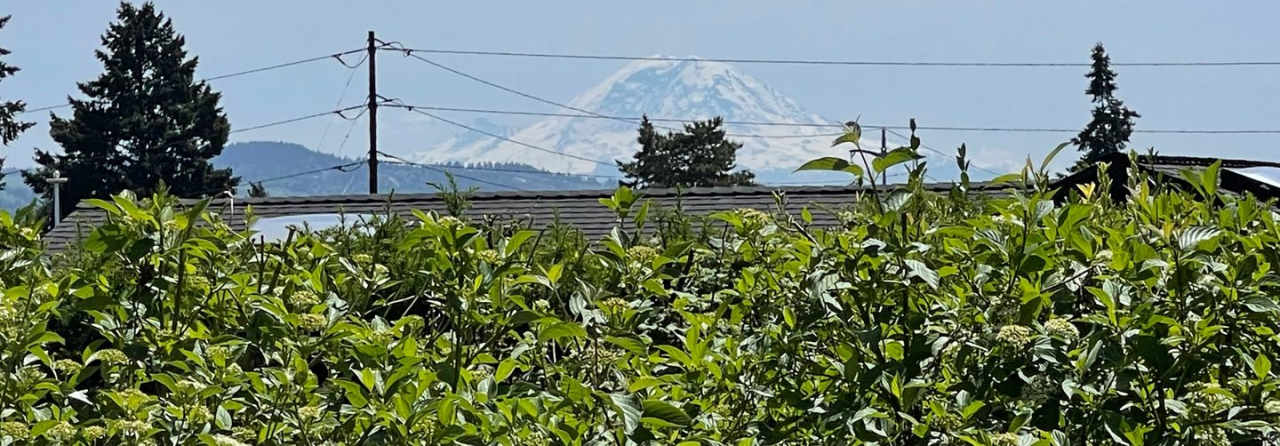 CLICK "REQUEST A TOUR" NOW!