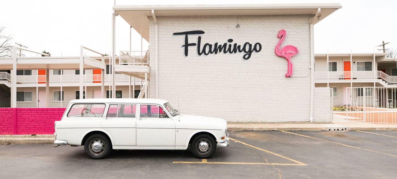 Flamingo