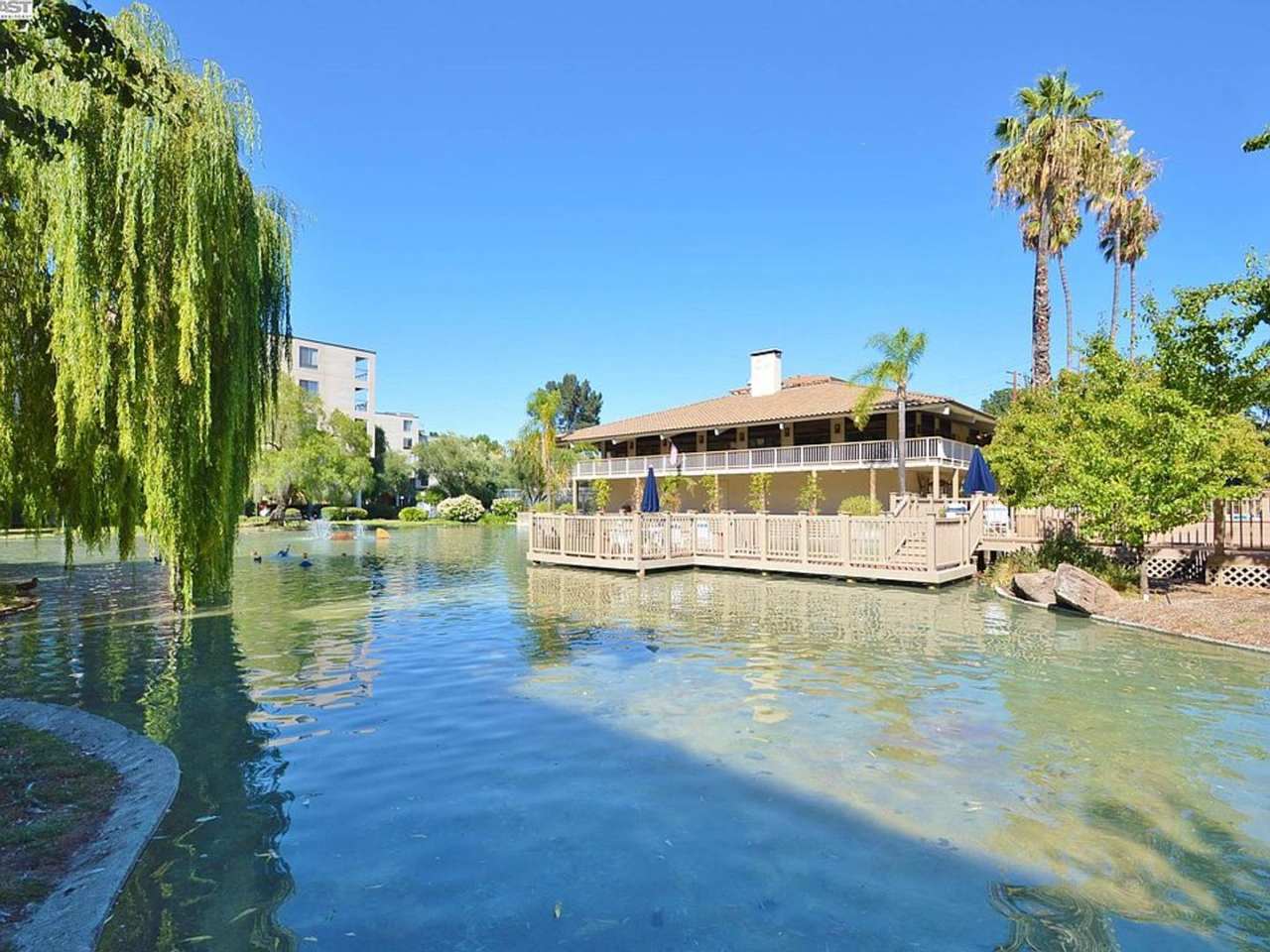 Spacious Condo Near Downtown Walnut Creek Available Now!