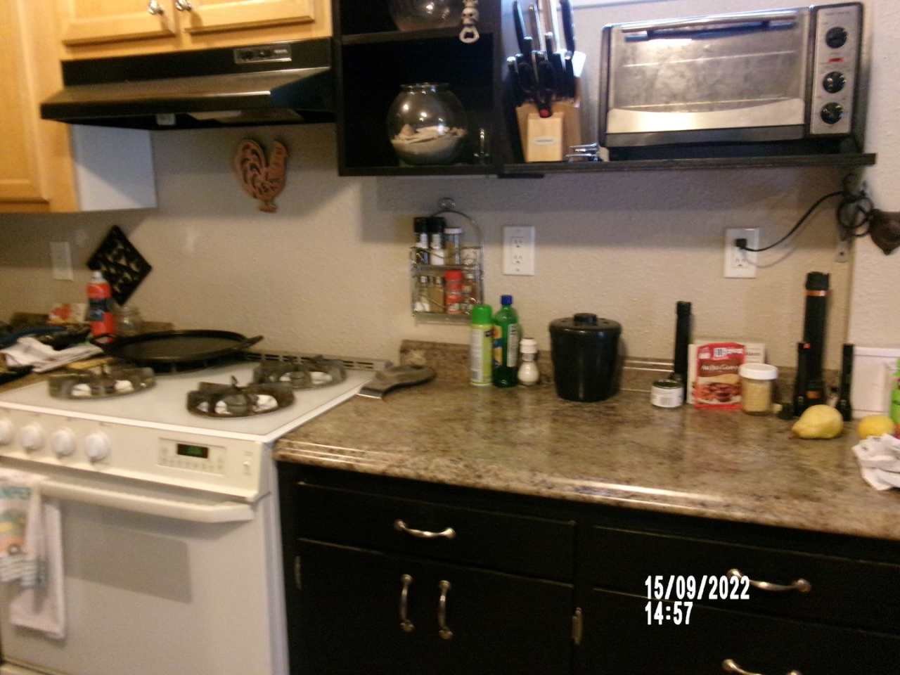 Cozy furnished unit-Philomath