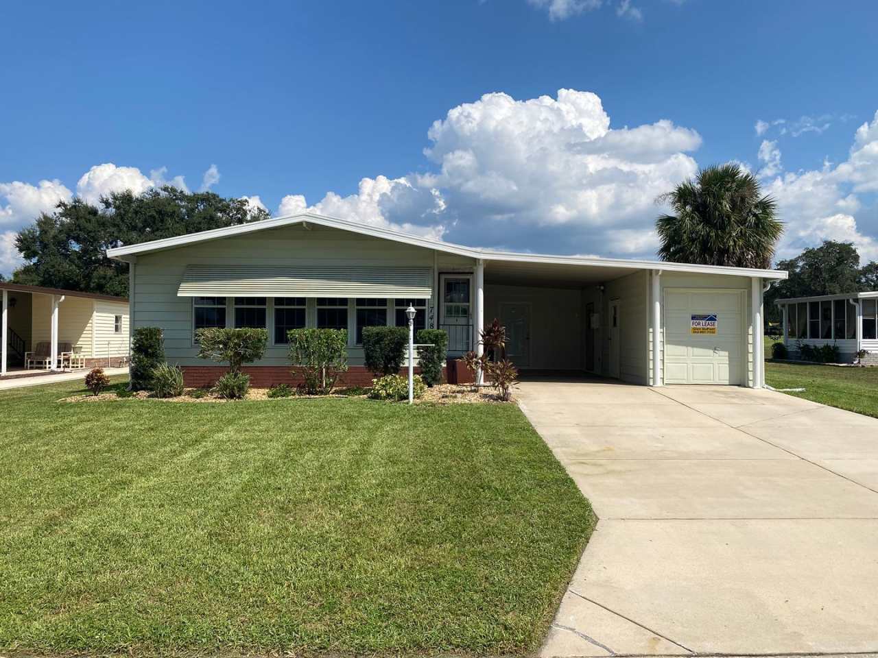 1245 - D'Addio/Shultz