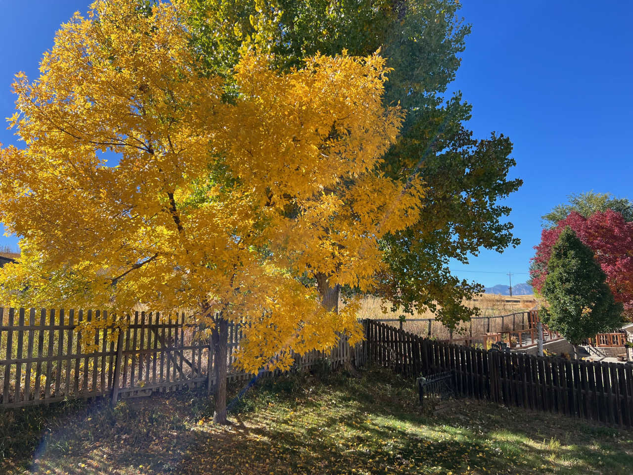 11428 West 104th Drive