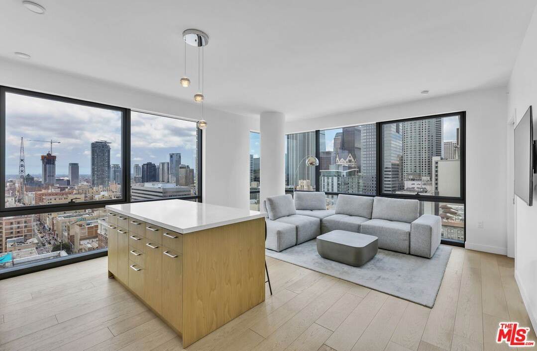 400 S Broadway unit: 2410