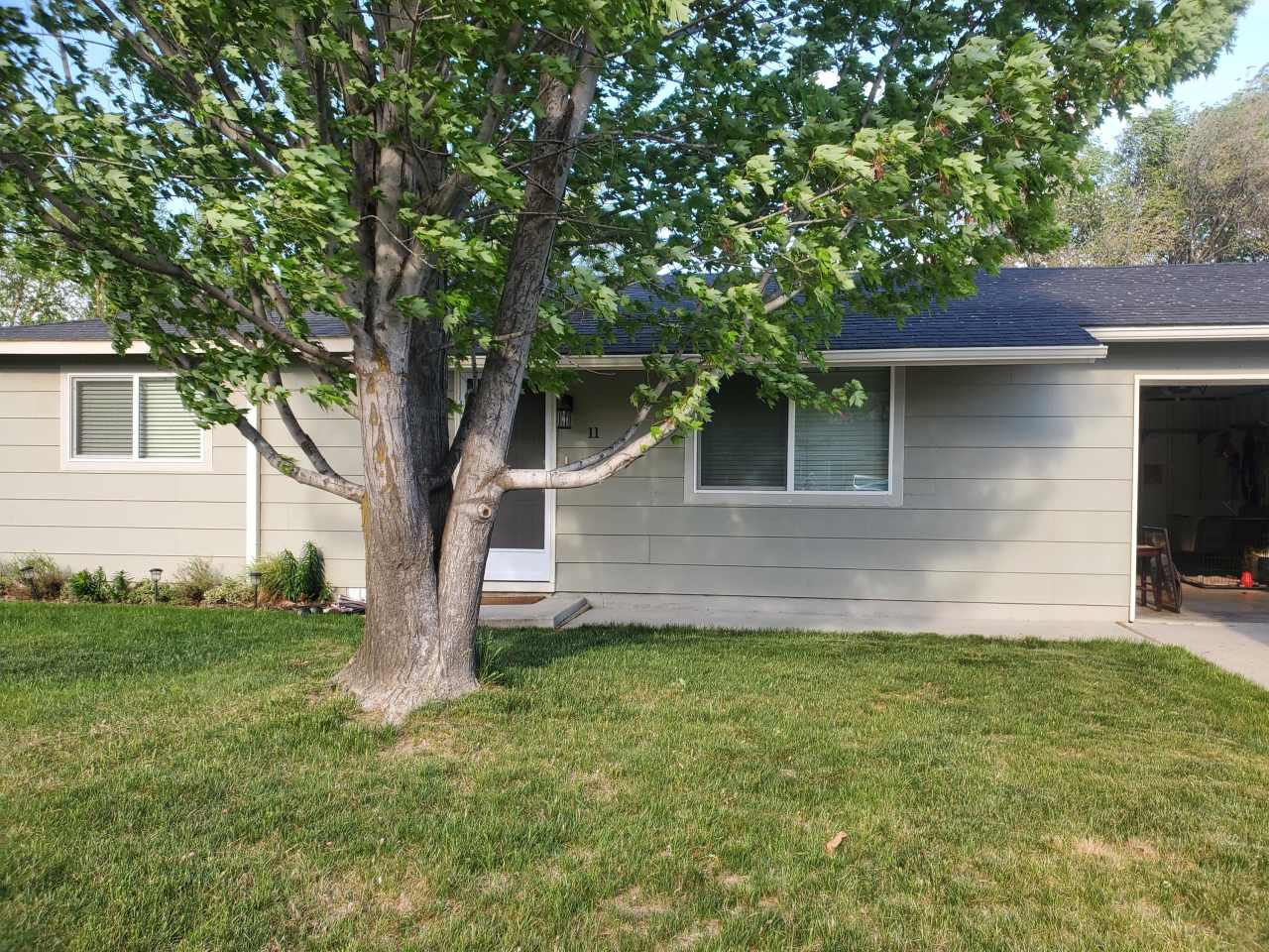 11 South Campbell Avenue