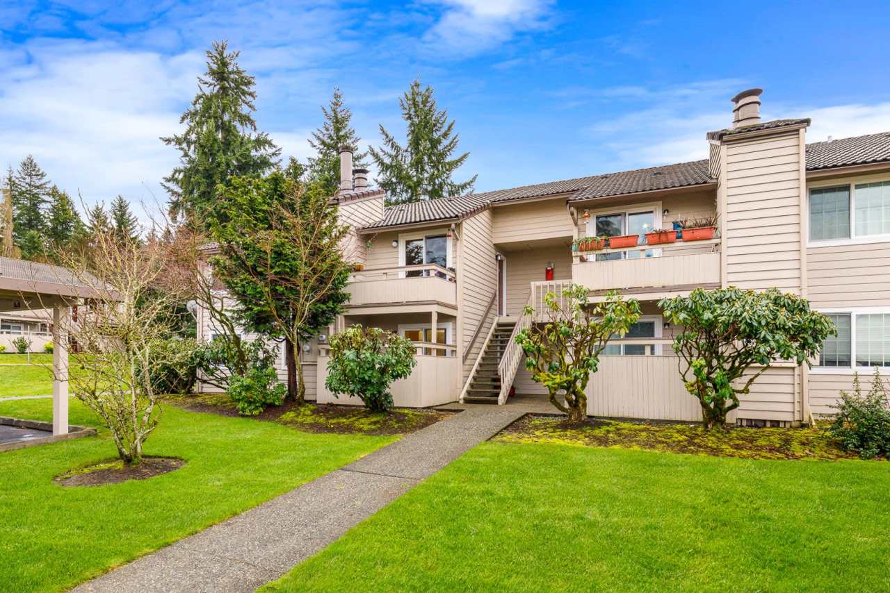 1/2 off First month's rent! Beautifully updated Ground Floor 2 Bedroom 1 Bath Water/Sewer/Garbage Incl.