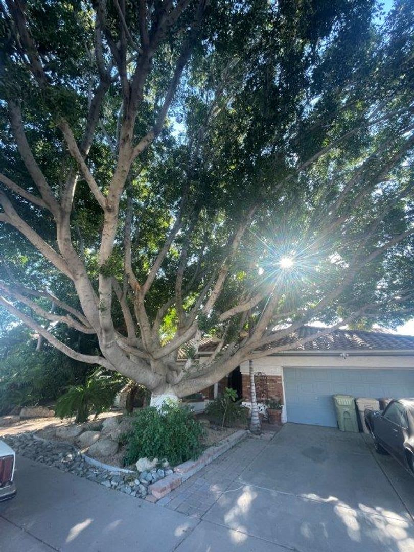 6049 W Grandview Rd Glendale