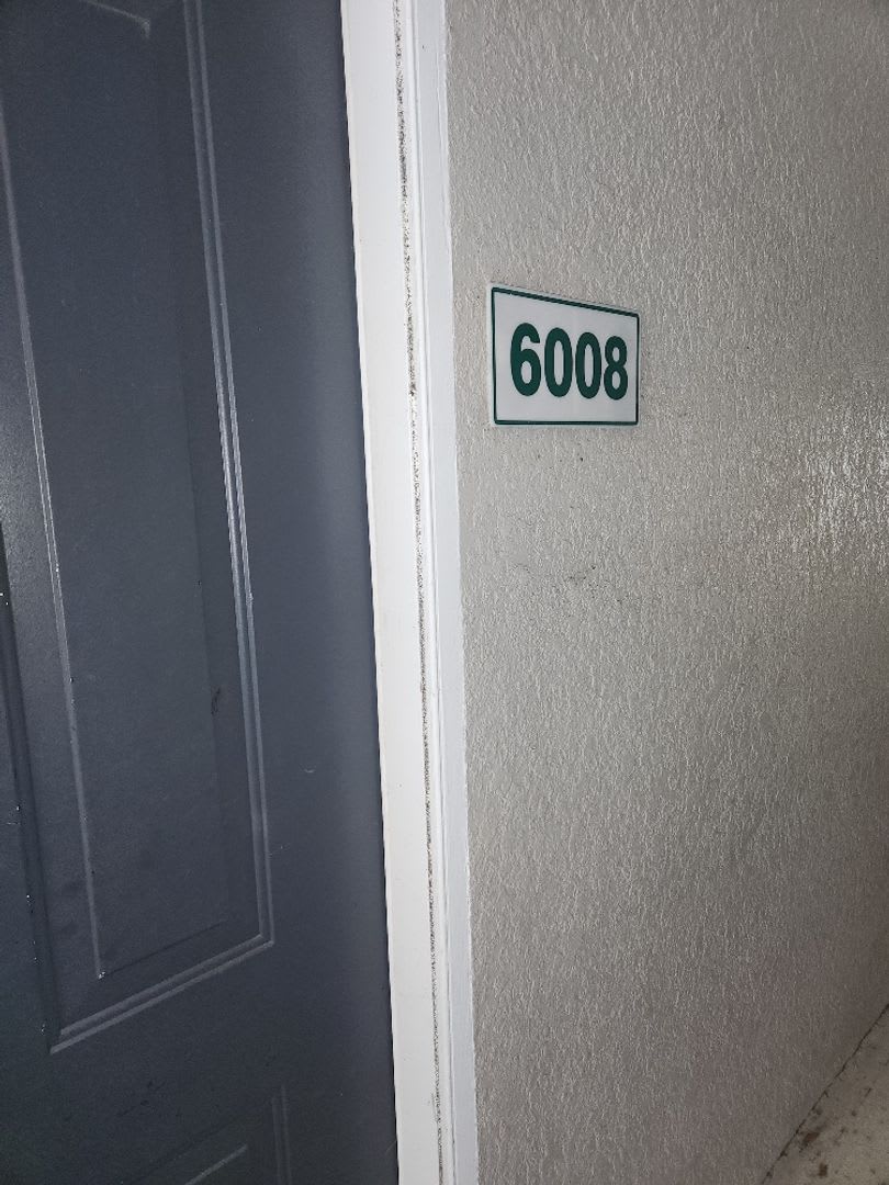 6008