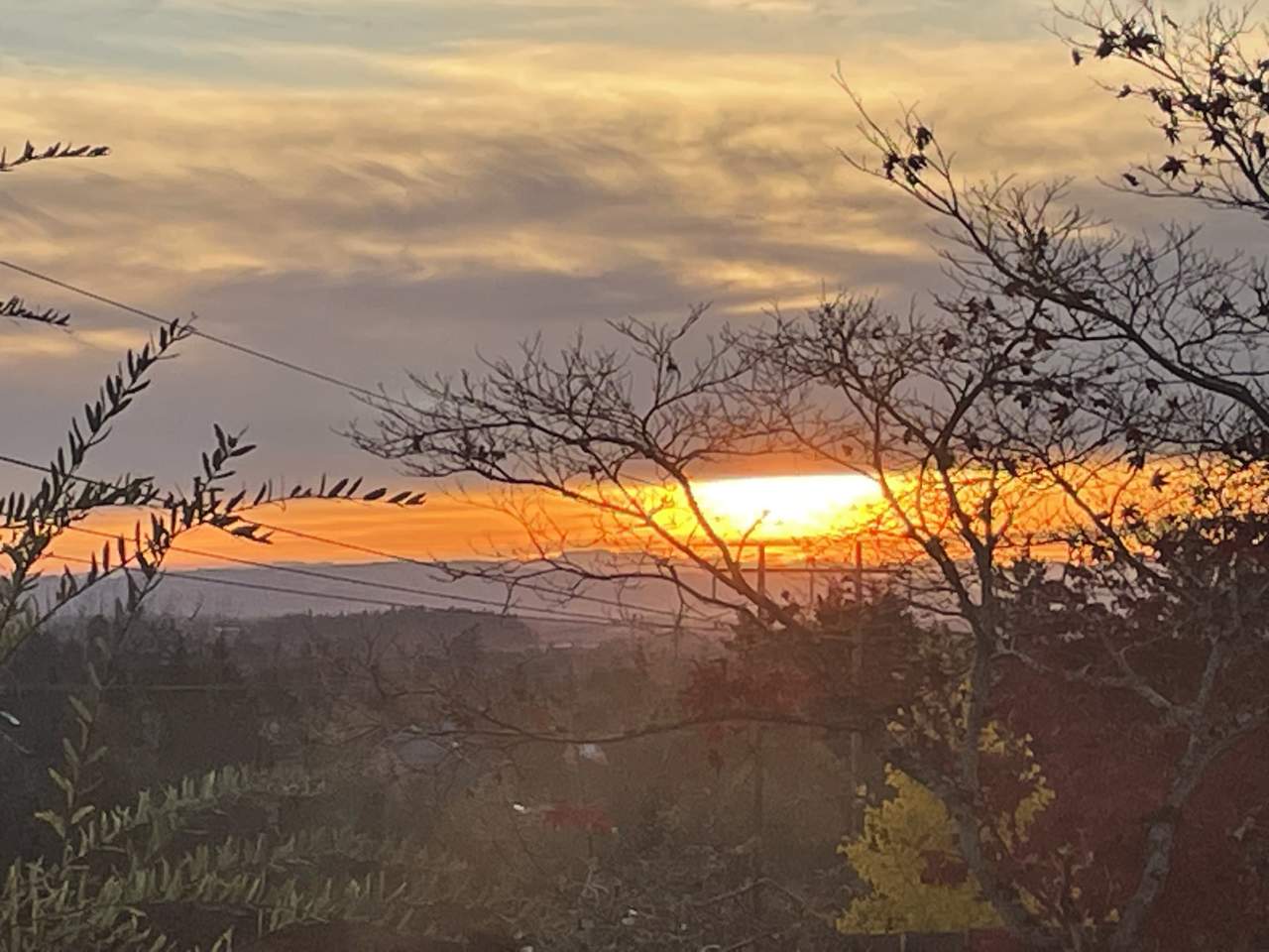 6387 Nw Goldenweed Dr