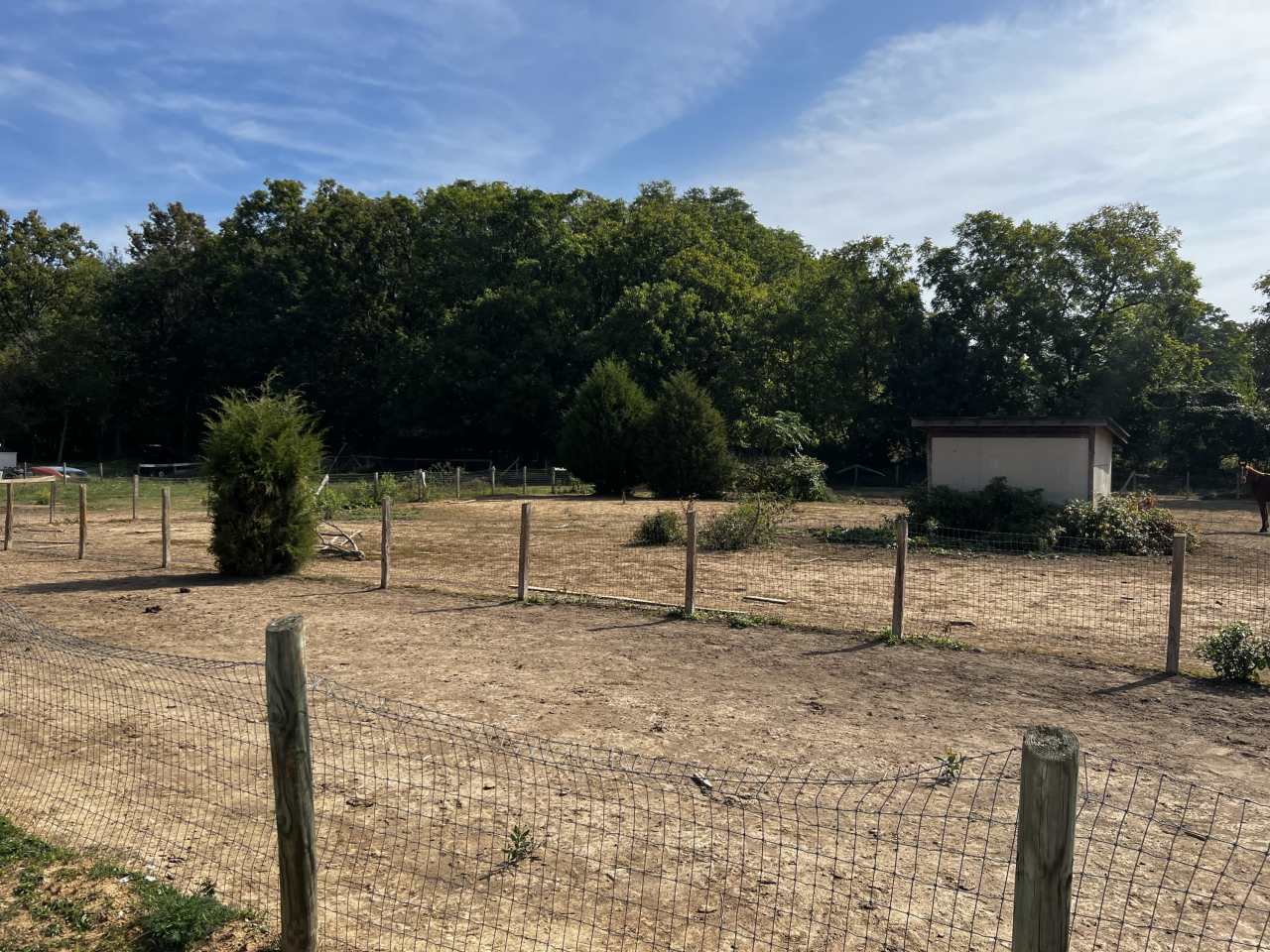 4190 Bowers Road - 1