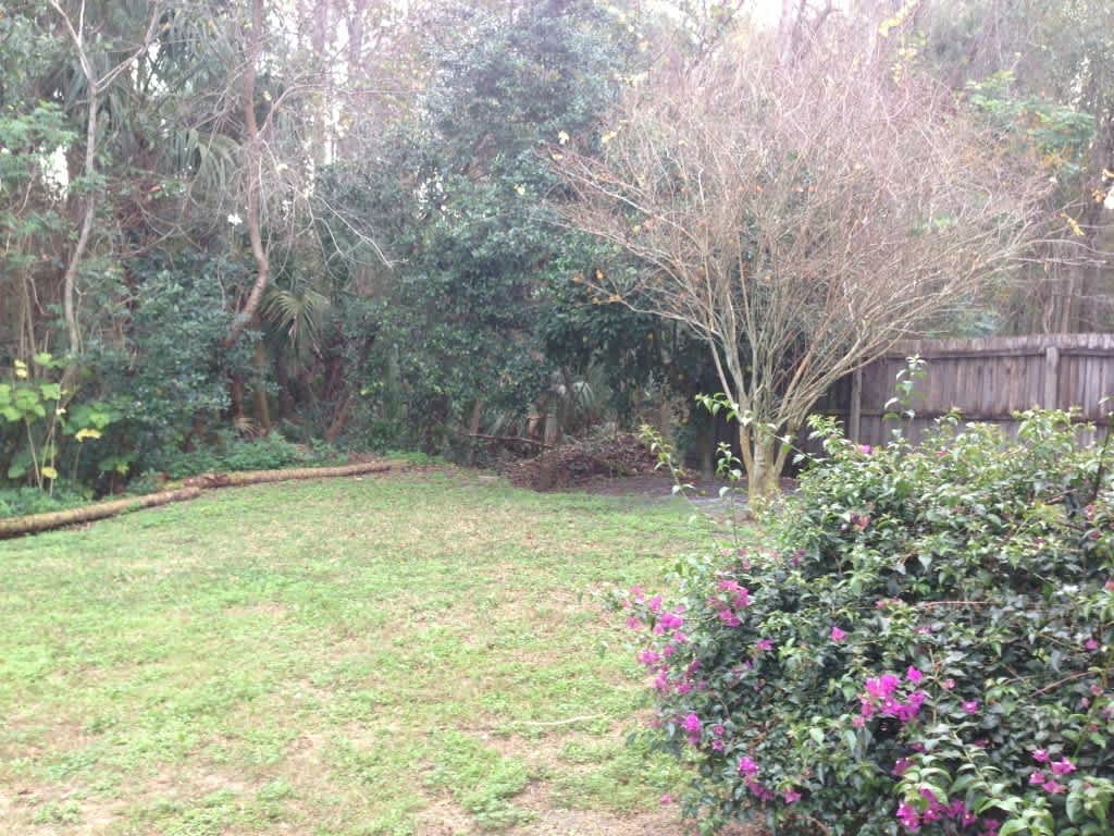 Gorgeous 4 BR Lake Mary home on Conservation lot - walking distance to Lake Mary HS