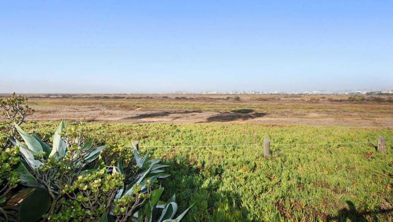 Available Now! Spacious 3BR, 2BA, 1,76sq.ft. 2 car garage.