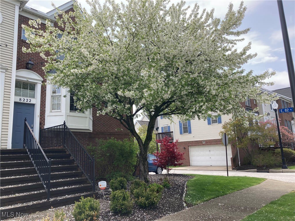 8222 Chester Parkway