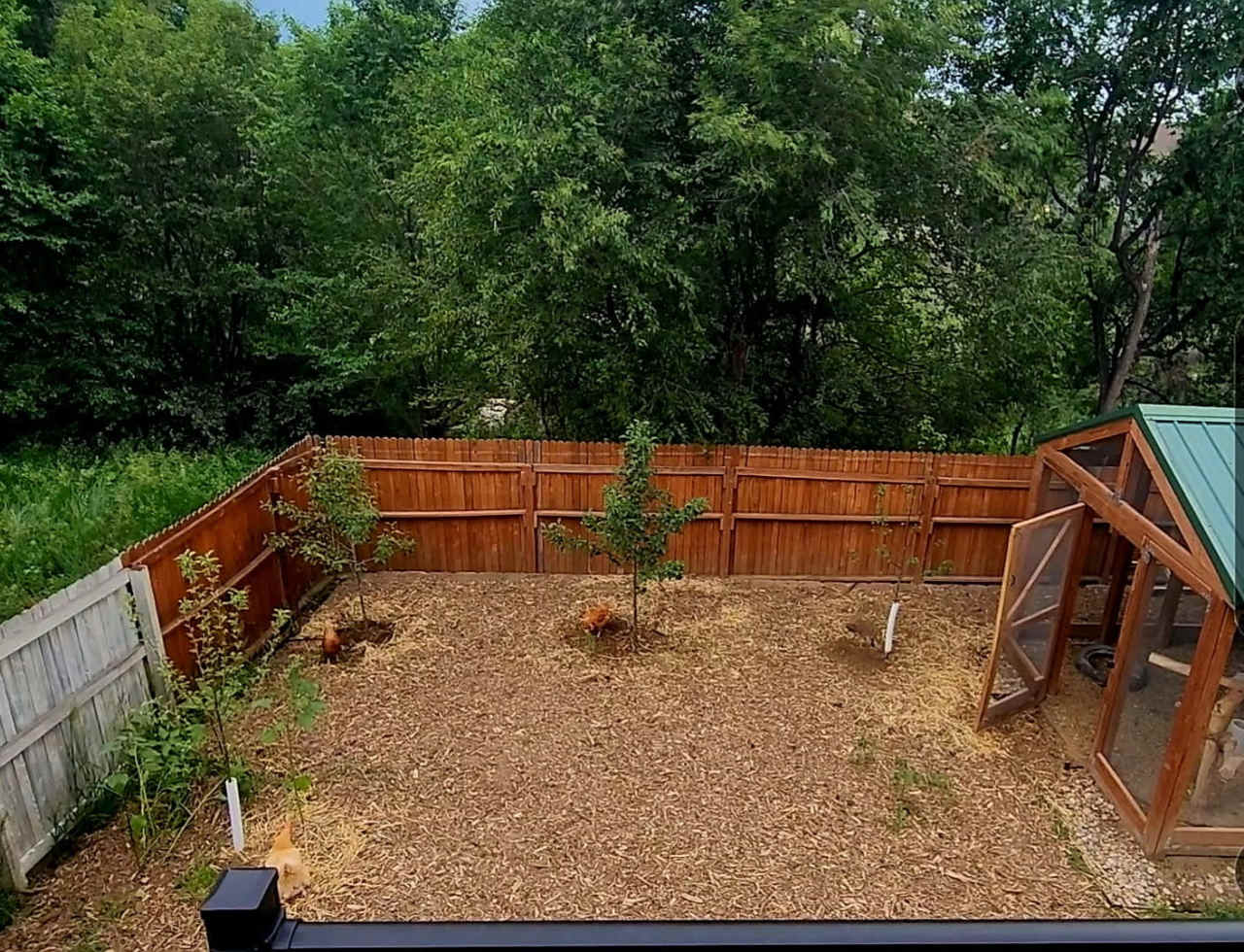 7137 Arrowroot Avenue