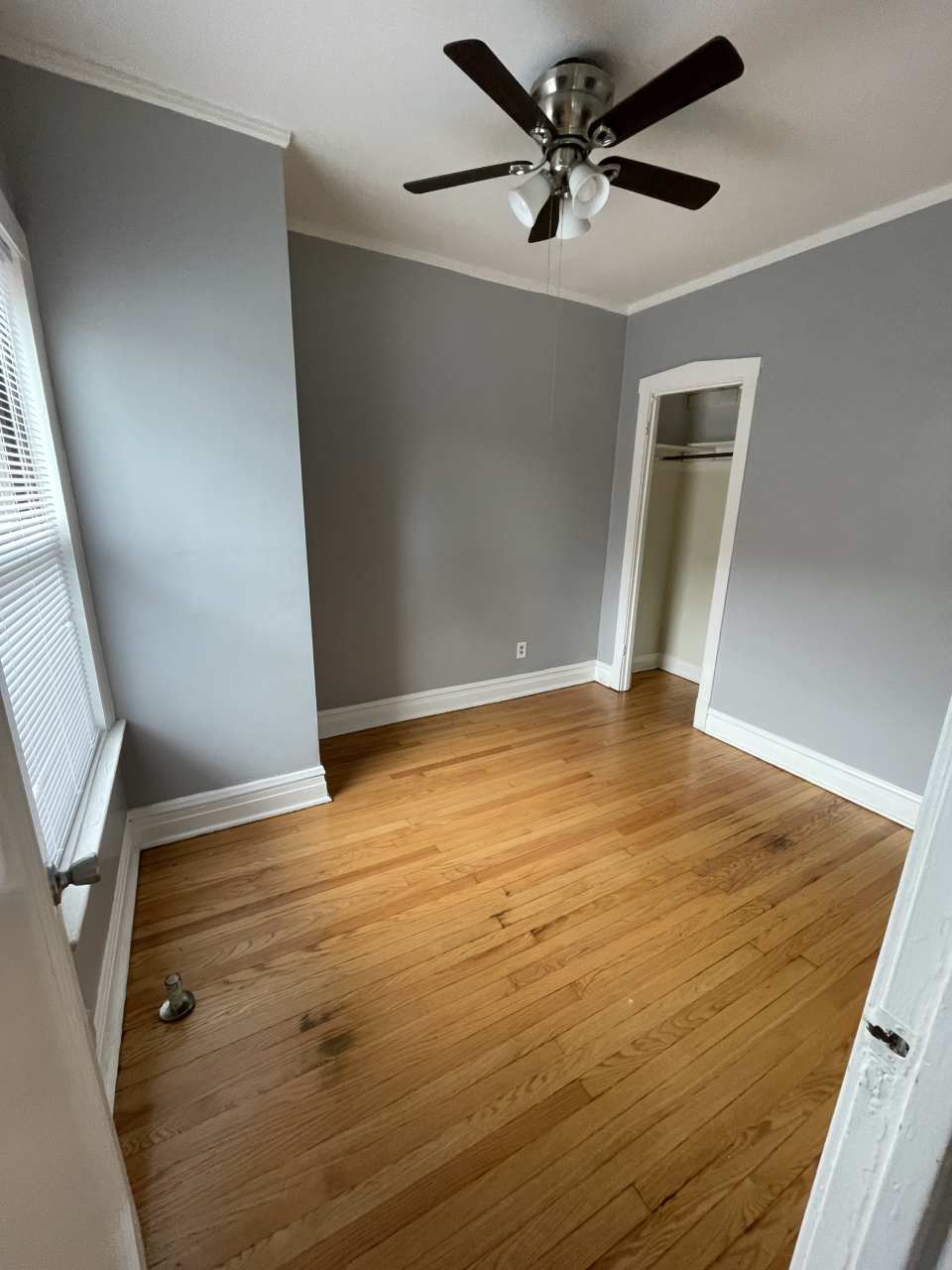 7003 1/2 Roosevelt Road