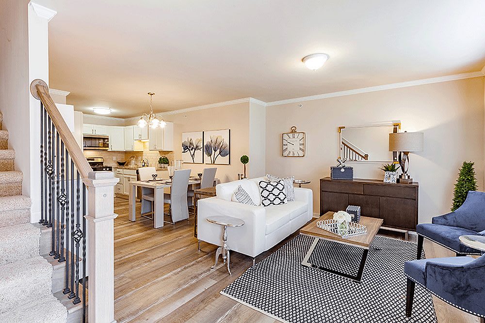 The Ravines of Plymouth