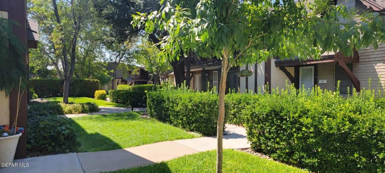 500 THUNDERBIRD Drive unit: 116