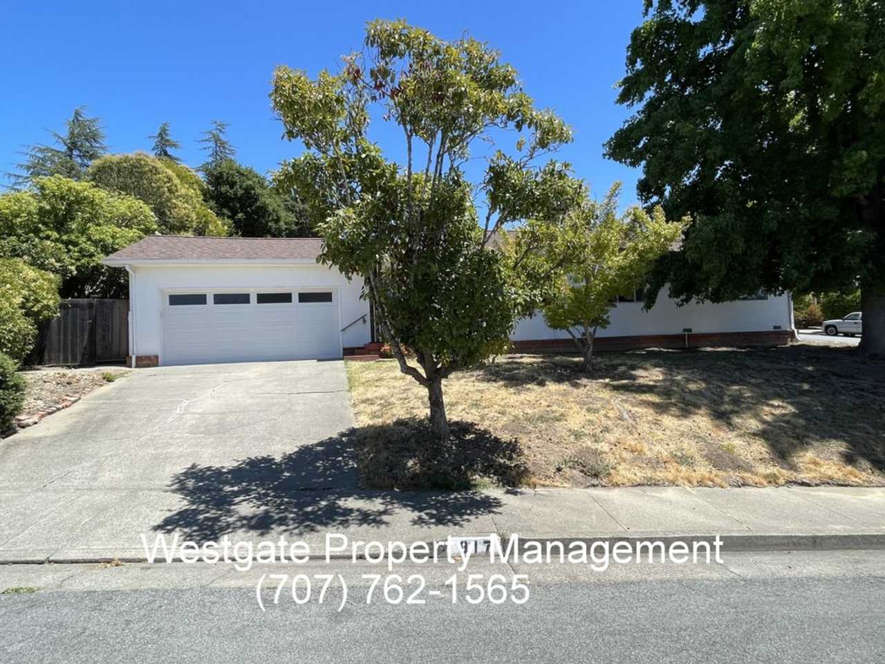 Sweet, Single-Level 3/1.5 Bath in West Petaluma - 917 Middlefield Drive