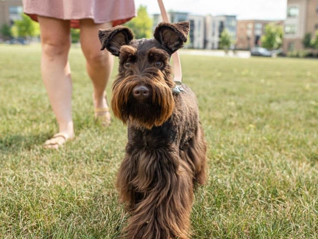 7373 Bales Street Unit A22