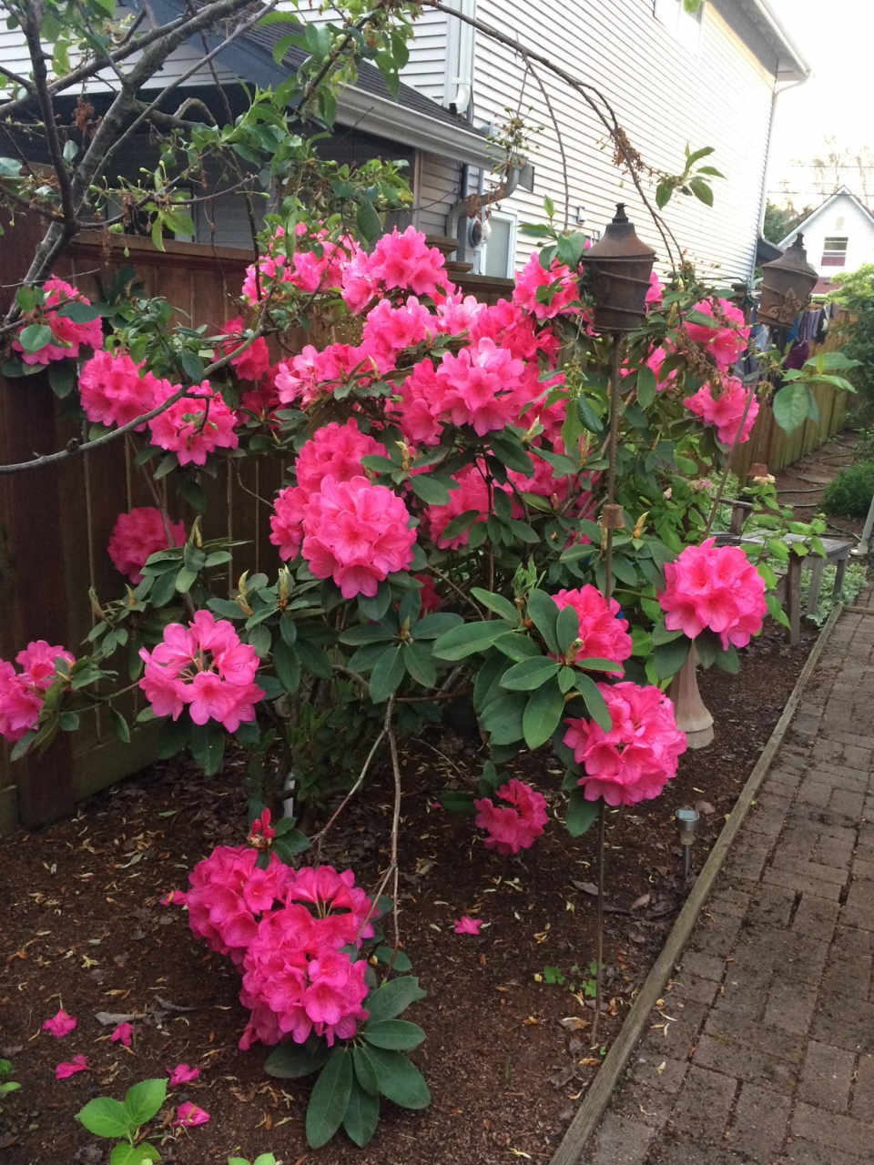 1728 26th Avenue South