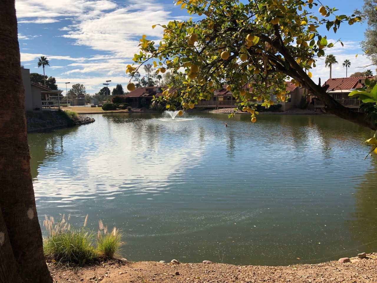 Available from May to November 2025! Lovely Waterfront Home in 45+ Active Adult Resort Community of Leisure World.