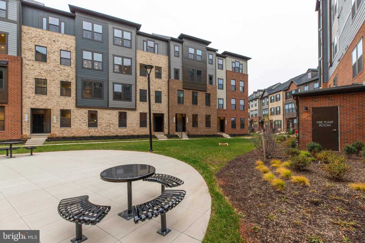 4357 BLACK TULIP Way