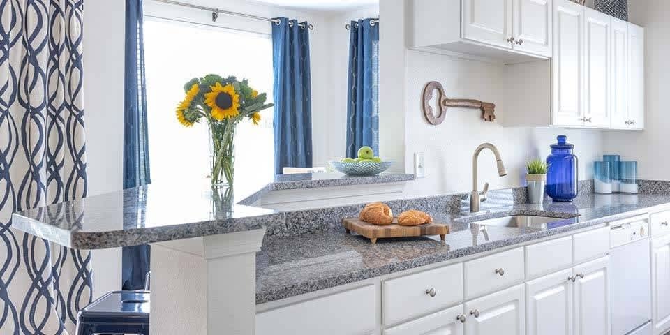 The Islands of Fox Chase