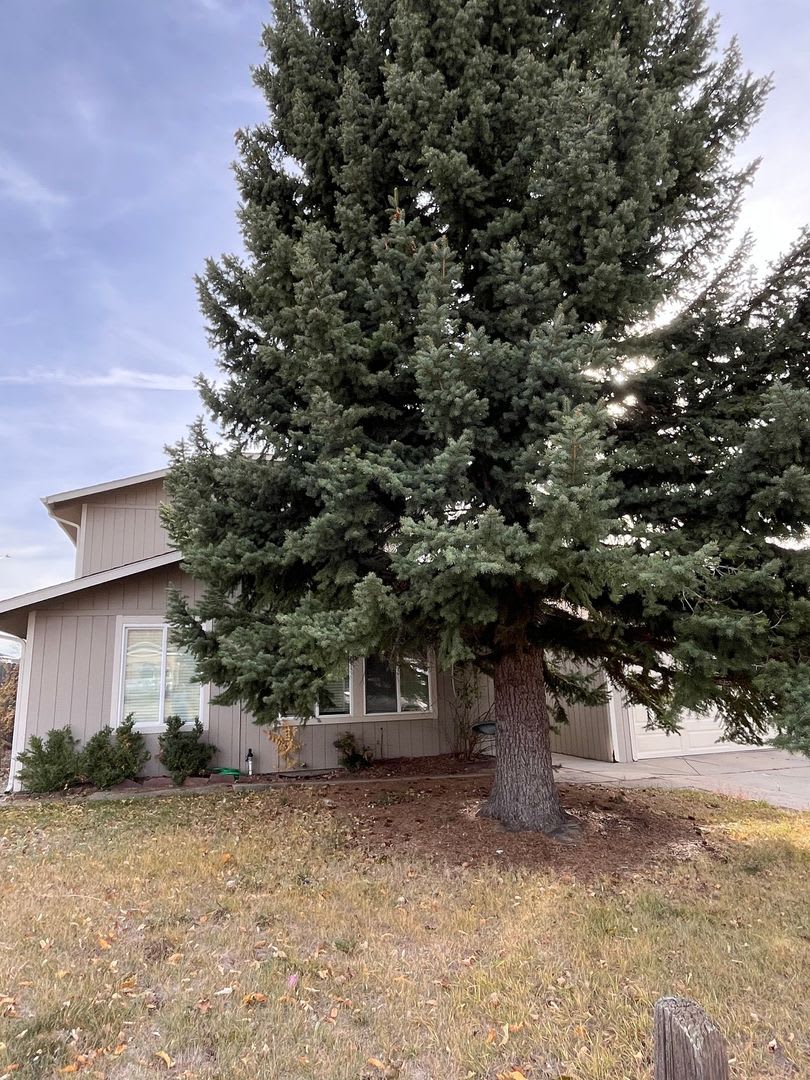 Lovely 3 bed, 2 bath Longmont home - AVAILABLE 11/15