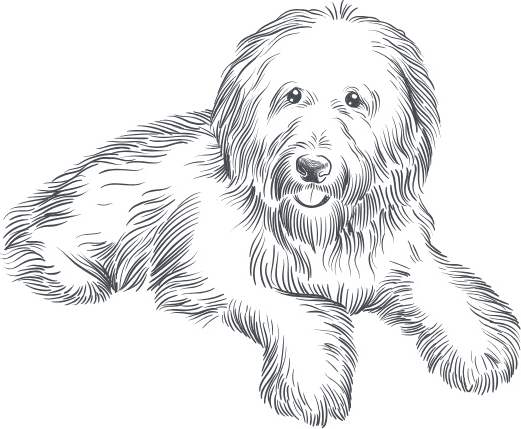 454 West Brown Apartments