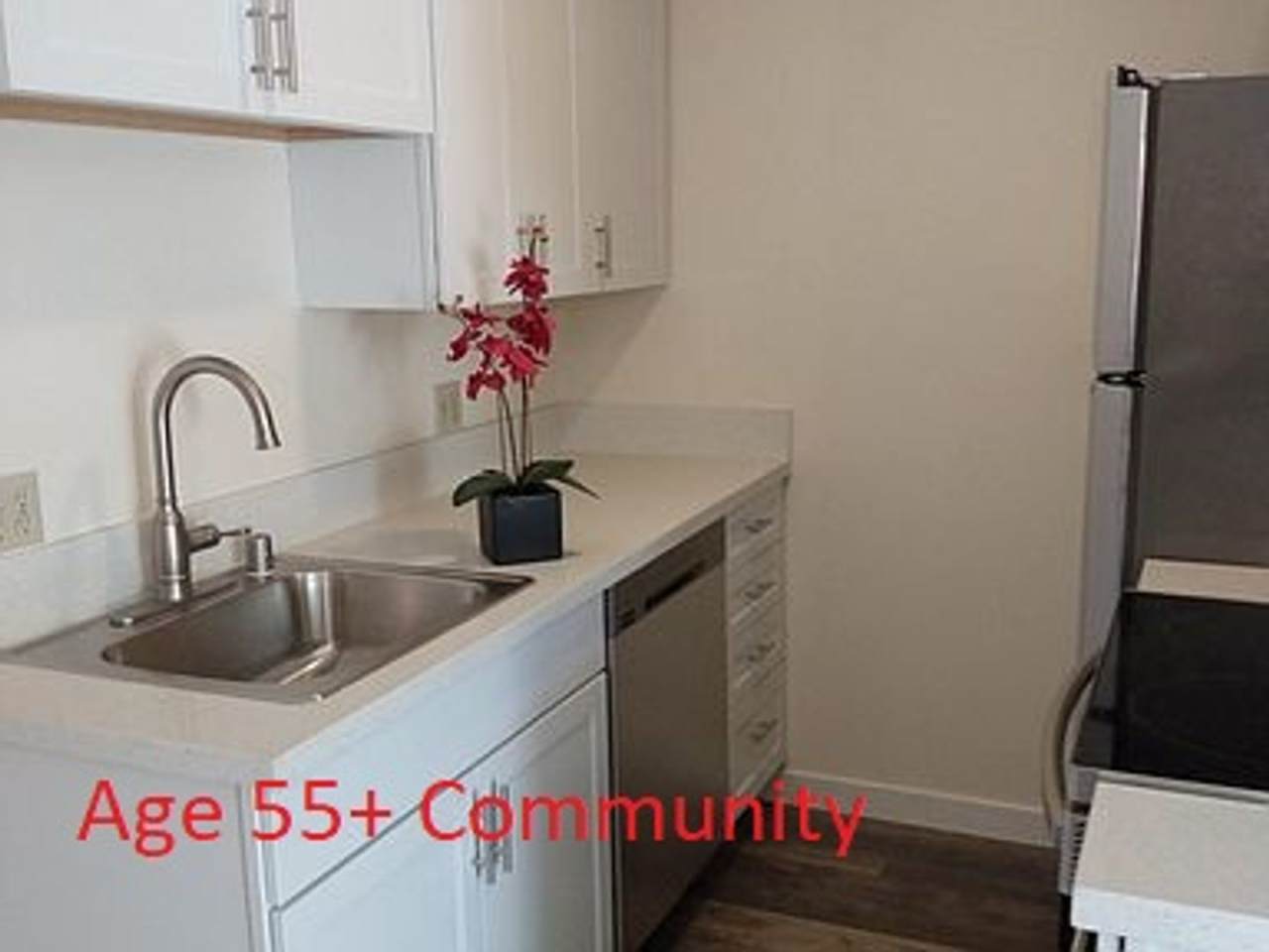 Age 55+ Only - Remodeled One Bedroom Condo - Age 55+ Only