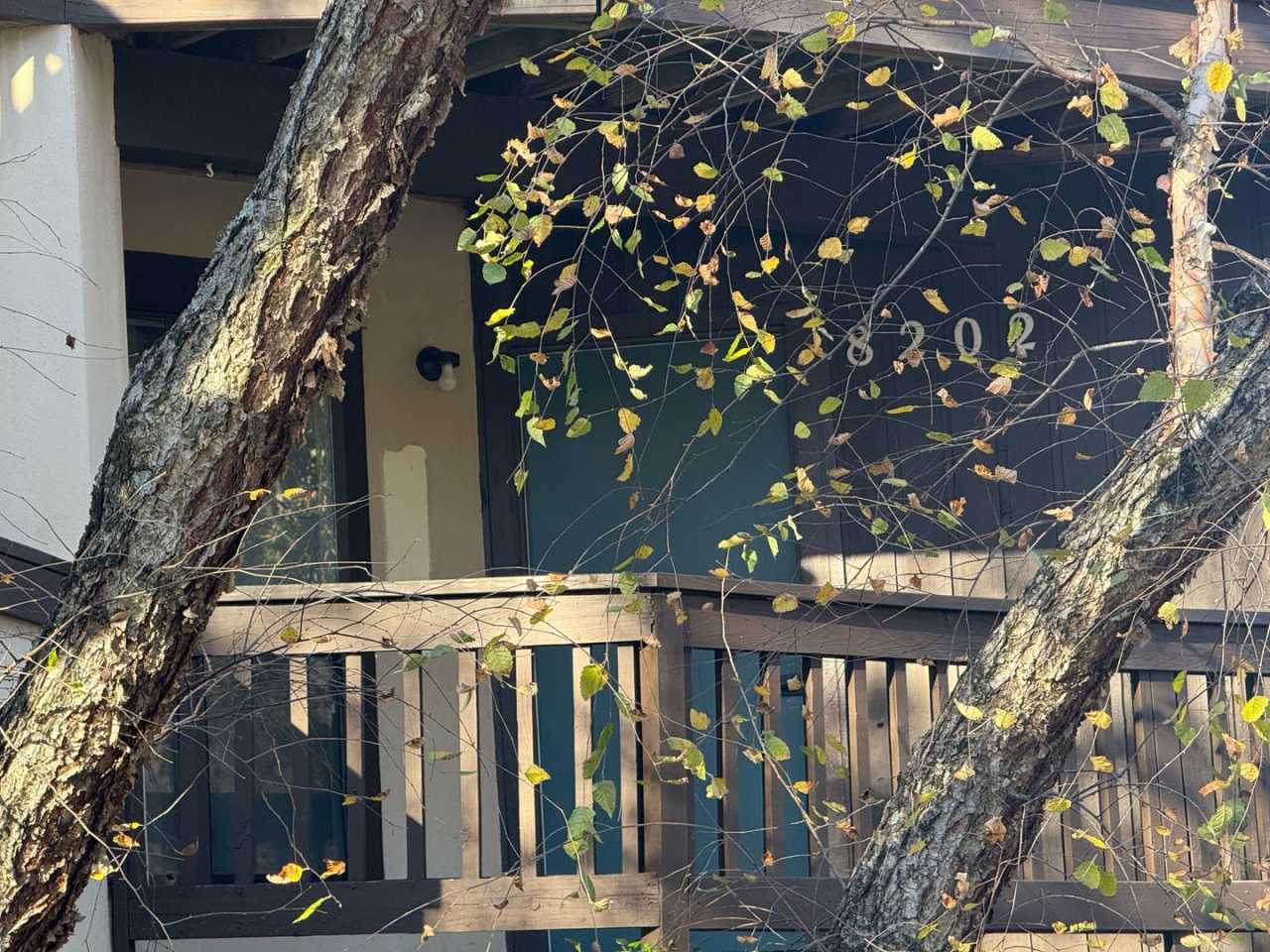 Beautiful Condo minutes from Uptown Charlotte