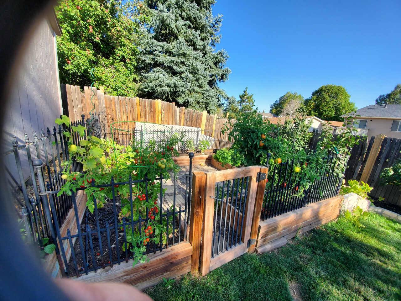 1496 South Cathay Way