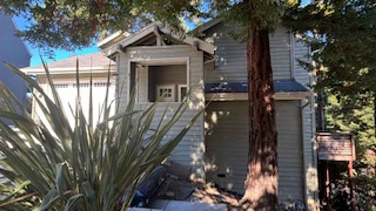 Stunning Tree-House Living with Beach Access - Hidden Beach Area