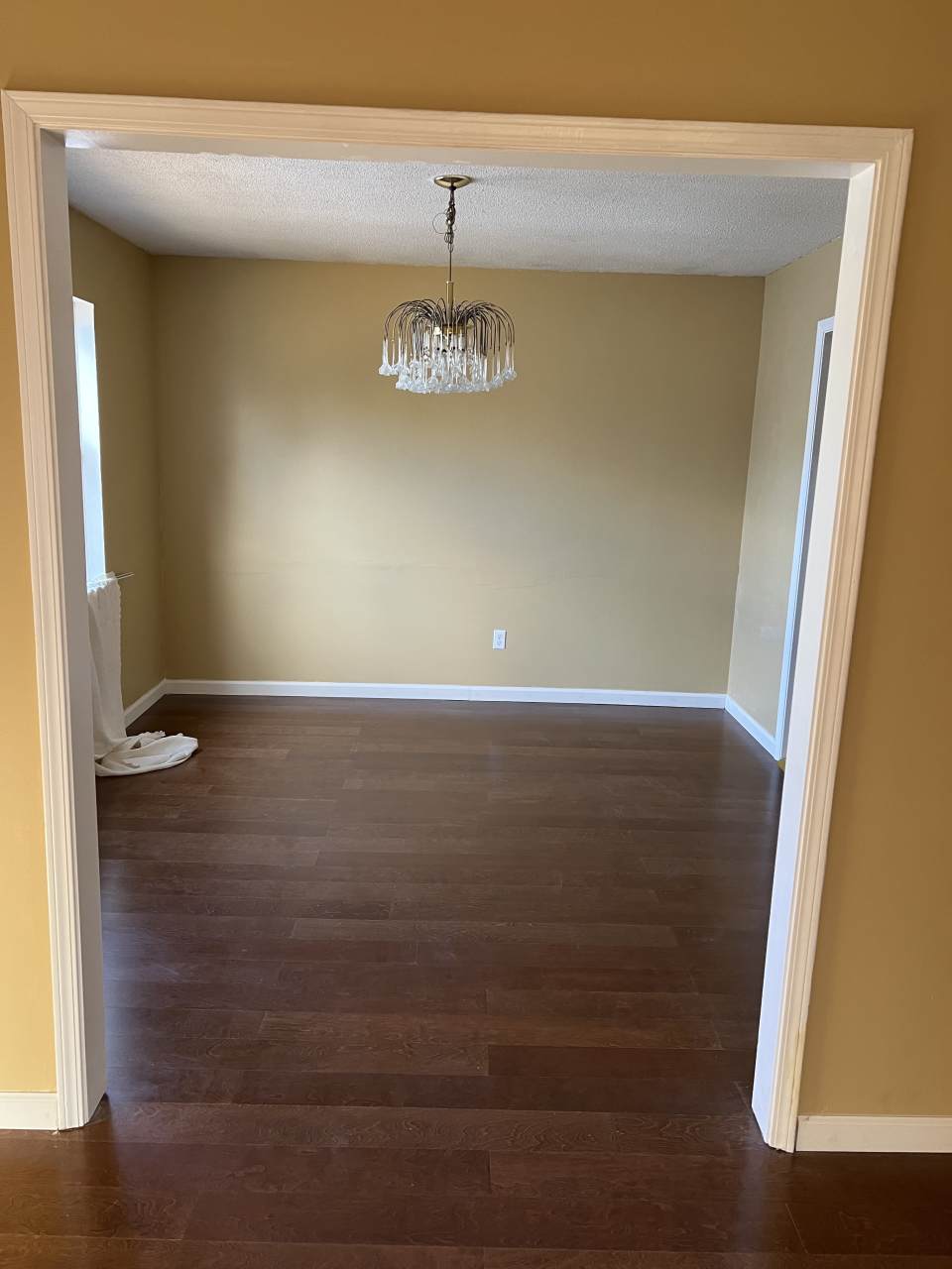 821 Pine Forest Circle