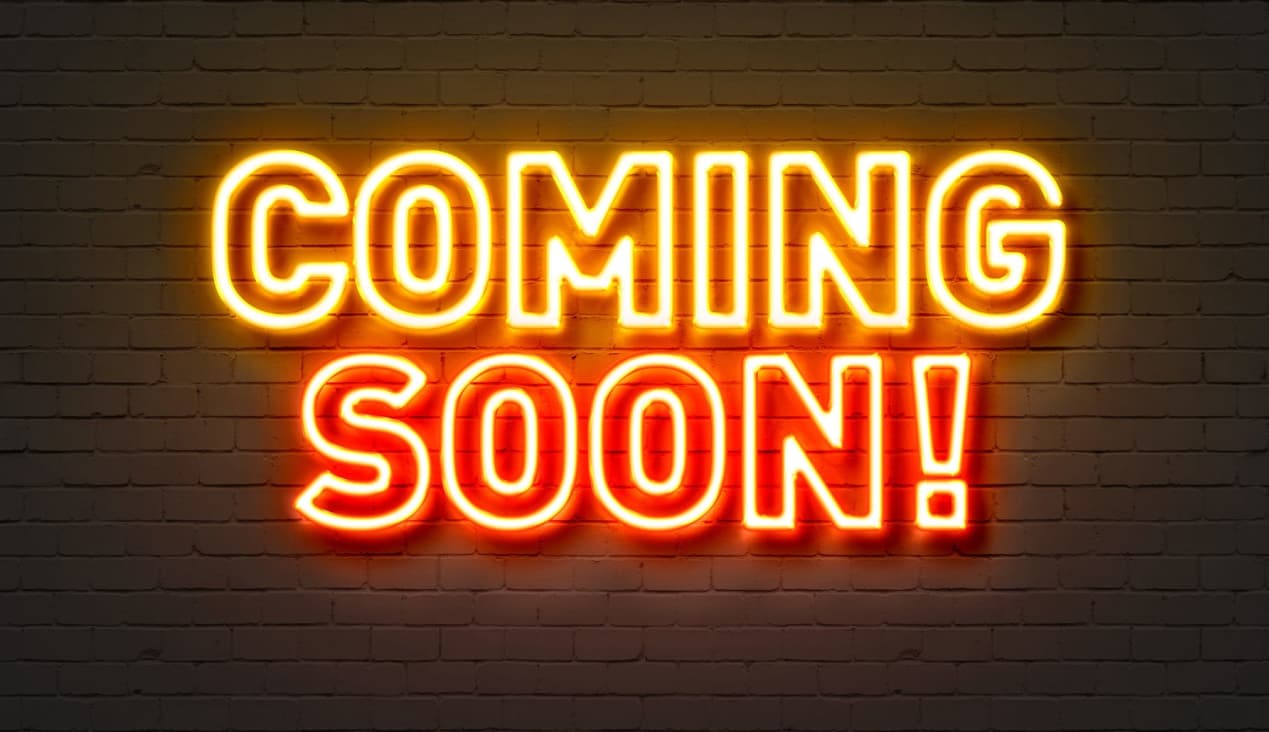 Beautifully Refurbished 2 Bedroom, 1 Bath Apartment