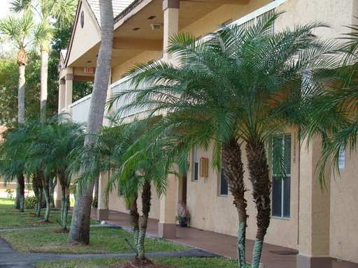 Spacious 2/2 in a great location! Call for specials!