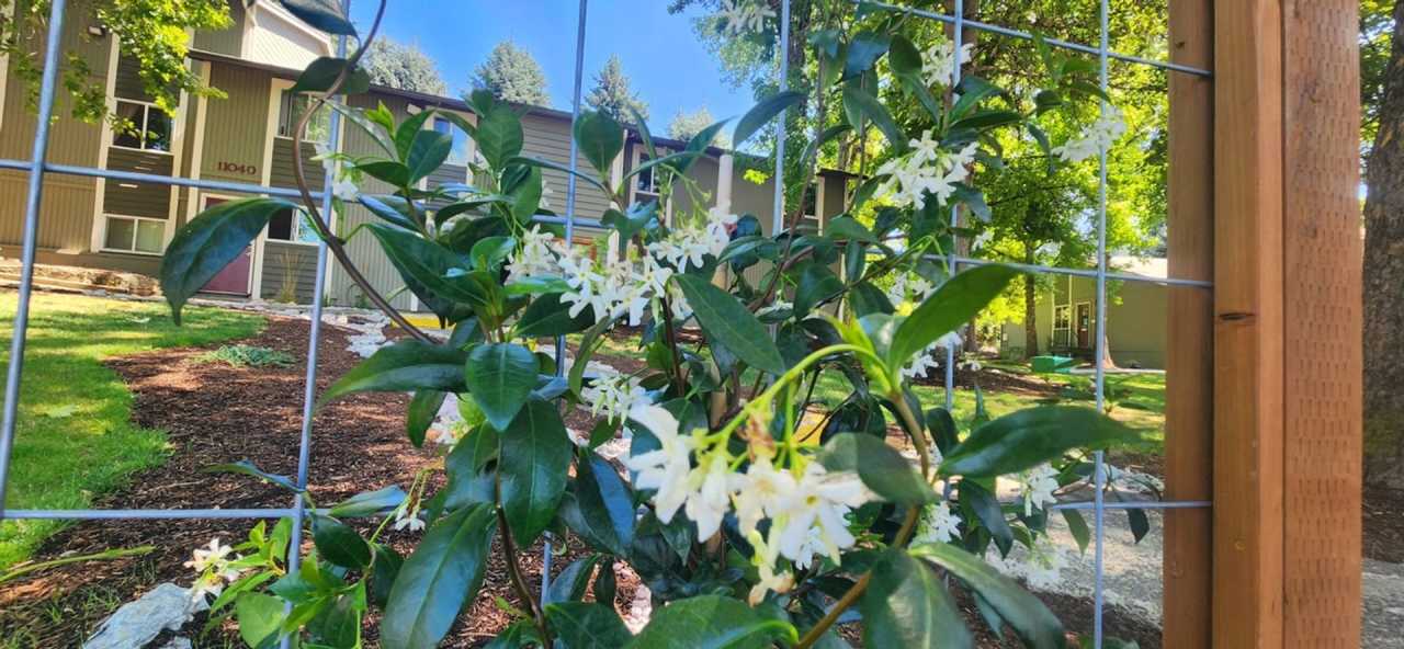 The Vineyards at Gaarde