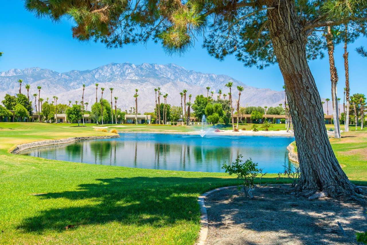 28859 Desert Princess Drive