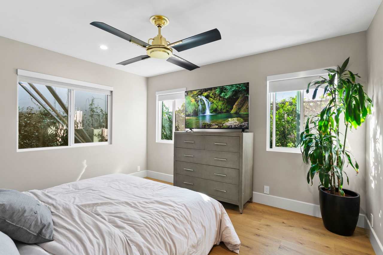 Hidden Gem in Newport Heights