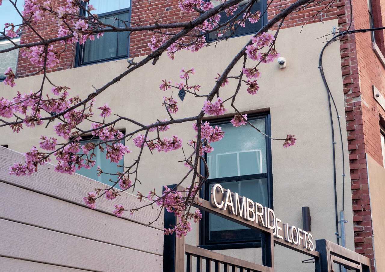 Cambridge Loft