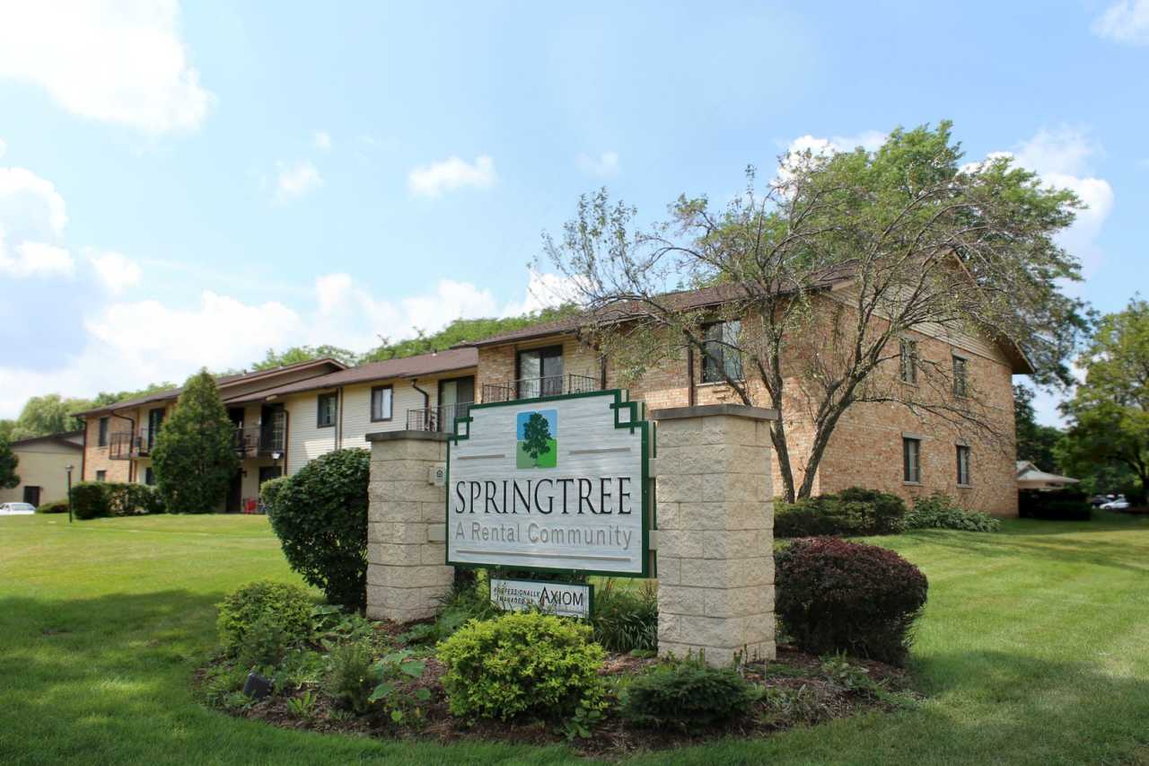 Springtree